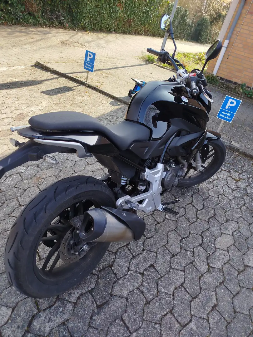 Rivero Monza Schwarz - 2