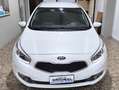Kia Ceed / cee'd ceed II 2012 SW SW 1.6 crdi Cool 110cv my13 Bianco - thumbnail 3