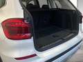 BMW X3 xDrive20d Business Paket Plus | Wärmepaket Weiß - thumbnail 12