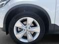 Volvo XC40 XC40 B3 B DKG Core Weiß - thumbnail 7