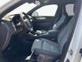Volvo XC40 XC40 B3 B DKG Core Weiß - thumbnail 10