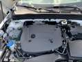 Volvo XC40 XC40 B3 B DKG Core Weiß - thumbnail 8