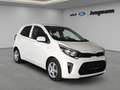 Kia Picanto 1.0 Vision Weiß - thumbnail 2