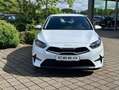 Kia Ceed / cee'd Vision Alb - thumbnail 4