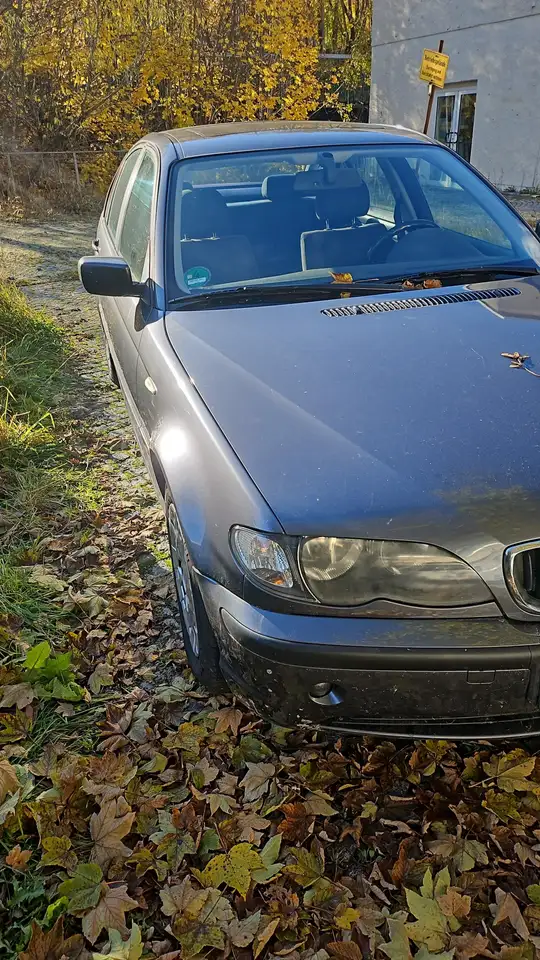 BMW 316