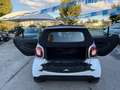 smart forTwo "UNA CHICCA  Fortwo Cabrio 1.0 mhd Passion 71cv FL - thumbnail 13
