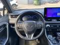 Toyota RAV 4 RAV 4 Plug-in-Hybrid Gris - thumbnail 11