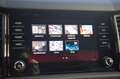 Skoda Kodiaq 1.5 TSI Sportline Business + TREKHAAK/PREMIUM AUDI Gris - thumbnail 19