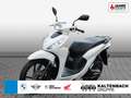 Honda Vision 110 B196 Führerschein Blanco - thumbnail 1