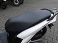 Honda Vision 110 B196 Führerschein Blanco - thumbnail 5