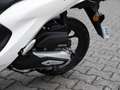 Honda Vision 110 B196 Führerschein Blanco - thumbnail 7