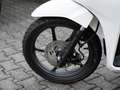 Honda Vision 110 B196 Führerschein Blanco - thumbnail 6