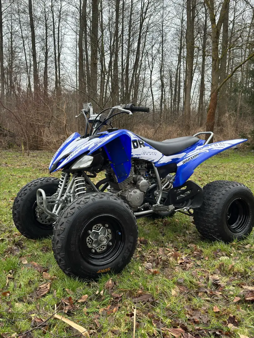 Yamaha YFM 250 Blau - 1