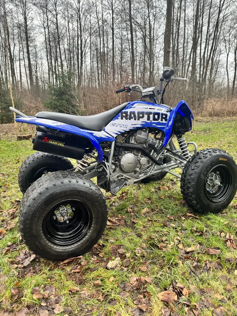 Yamaha YFM 250 Blau - 2