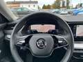 Skoda Octavia Combi 2,0 TDI Style DSG Silber - thumbnail 16