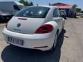 Volkswagen Maggiolino Maggiolino 1.6 tdi Design 105cv Bianco - thumbnail 6