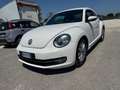 Volkswagen Maggiolino Maggiolino 1.6 tdi Design 105cv Bianco - thumbnail 1