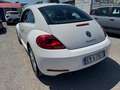 Volkswagen Maggiolino Maggiolino 1.6 tdi Design 105cv Bianco - thumbnail 8