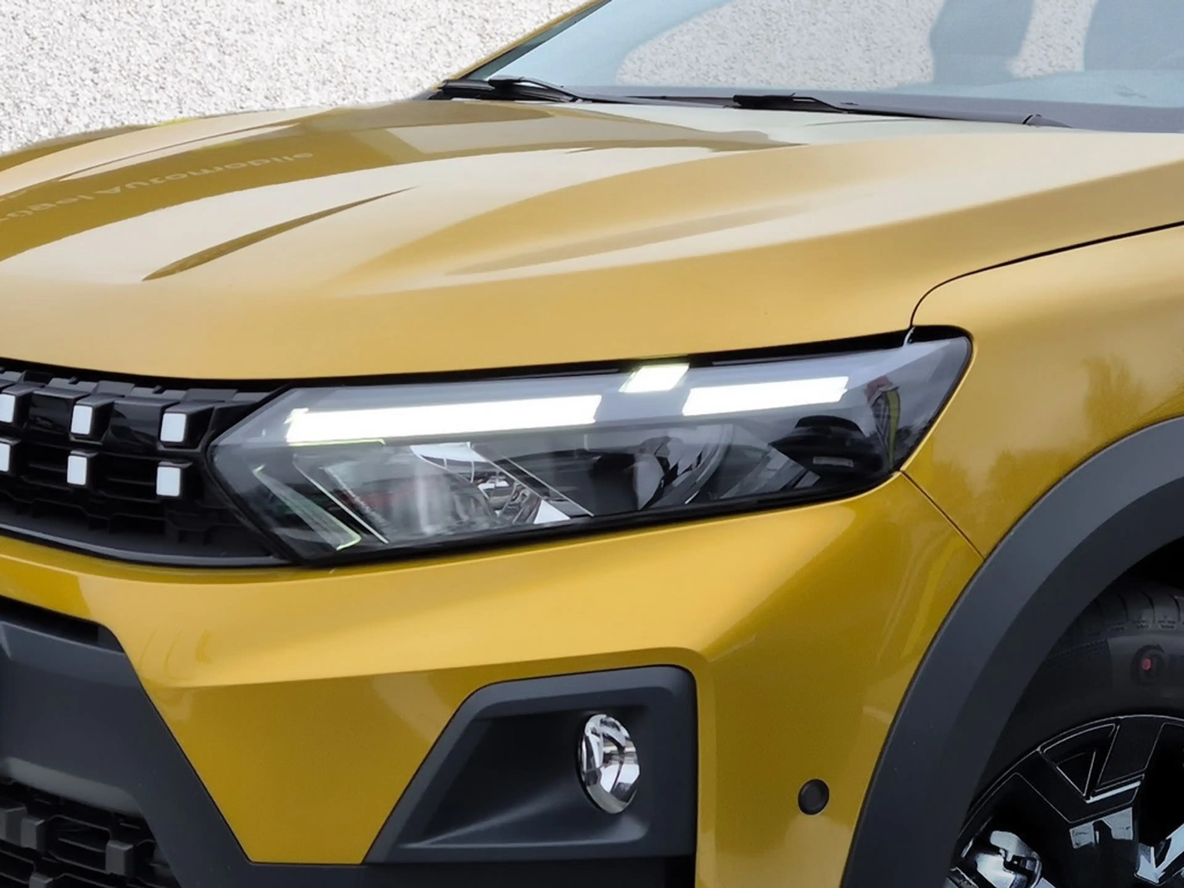 Dacia Sandero Stepway Extreme TCe 110 — photo 6