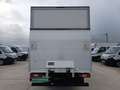 Ford Transit FT 350 L3 Chasis DCb. Trend Tr. Tra. 130 Blanco - thumbnail 10