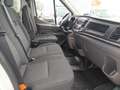 Ford Transit FT 350 L3 Chasis DCb. Trend Tr. Tra. 130 Blanco - thumbnail 18