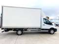 Ford Transit FT 350 L3 Chasis DCb. Trend Tr. Tra. 130 Blanco - thumbnail 7