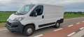Fiat Ducato 2.3 Multijet C-H1 (EU6d-TEMP) Gris - thumbnail 22