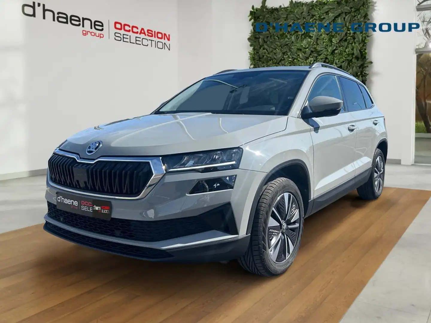 Skoda Karoq Karoq Clever 1,0 TSI 81 kW 6-speed mech. Grau - 1