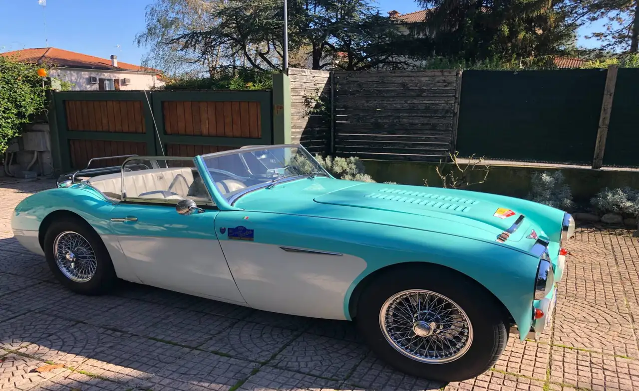 Austin-Healey