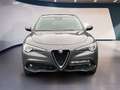 Alfa Romeo Stelvio Super Q4 + AK Grau - thumbnail 7