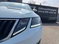 Skoda Octavia Combi 1,6 TDI DSG| AHK*LED*elek Klappe Weiß - thumbnail 36