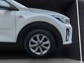 Kia Stonic 1.2 DPI Urban Bianco - thumbnail 11