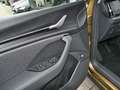 Skoda Kodiaq Selection 2.0 TDI 4x4 DSG StHz  Info PLUS Gold - thumbnail 13