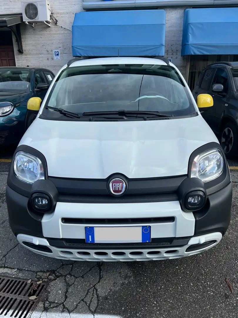 Fiat Panda Pandina Cross 1.0 firefly hybrid s&s 70cv - 1