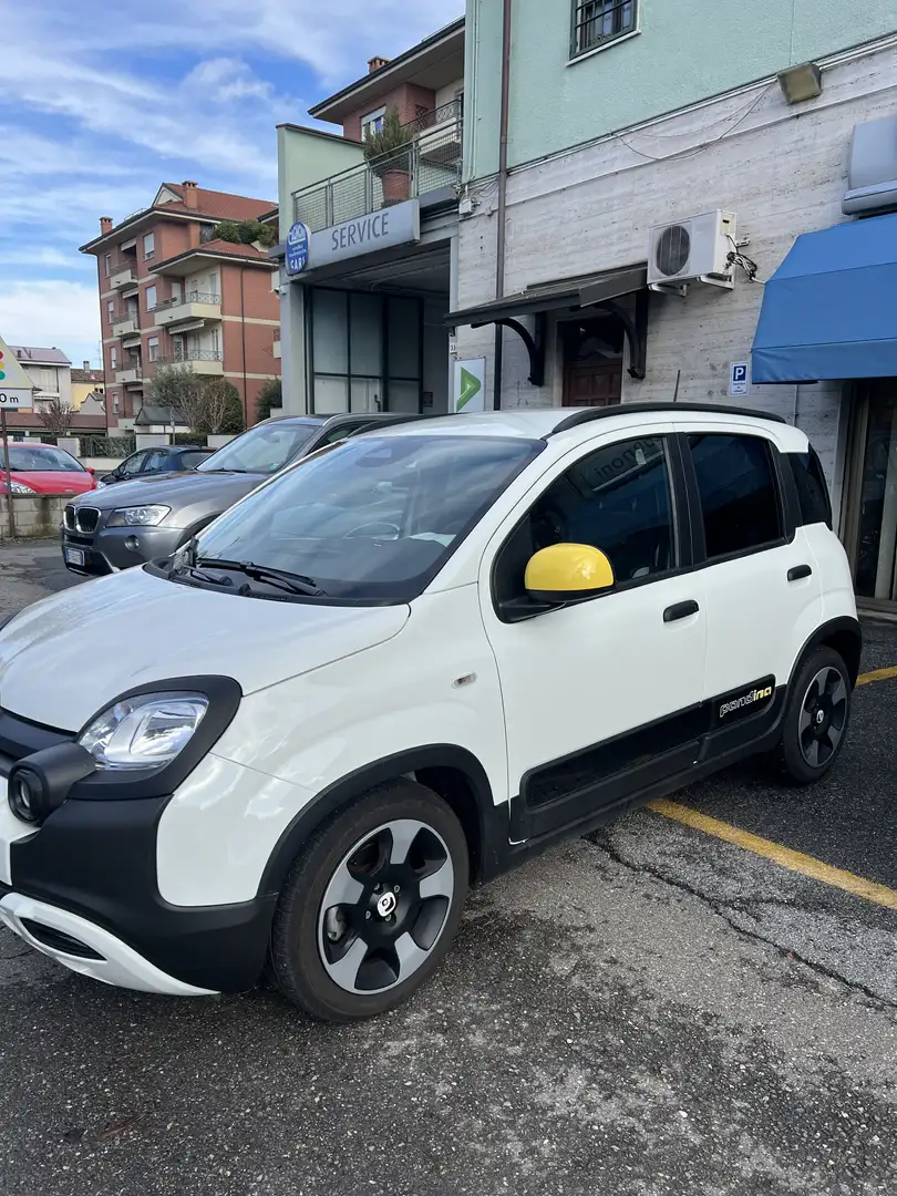 Fiat Panda Pandina Cross 1.0 firefly hybrid s&s 70cv - 2