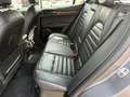 Alfa Romeo Stelvio 2.0 Petrol 206kW (280CV) First Ed.I Q4 Gris - thumbnail 13
