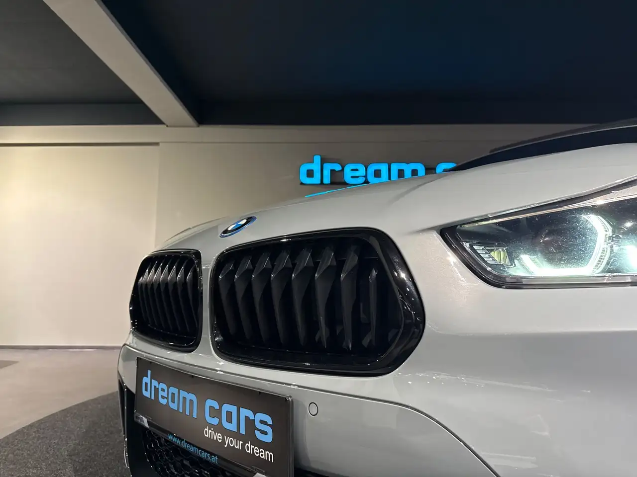 BMW X2 xDrive25e PHEV Aut. / M Sportpaket / Panoramadach Bild 11