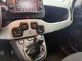 Fiat Panda 1.0 FireFly S&S Hybrid City Cross Grigio - thumbnail 13