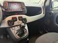 Fiat Panda 1.0 FireFly S&S Hybrid City Cross Grigio - thumbnail 12