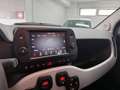 Fiat Panda 1.0 FireFly S&S Hybrid City Cross Grigio - thumbnail 11