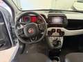 Fiat Panda 1.0 FireFly S&S Hybrid City Cross Grigio - thumbnail 8