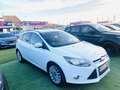 Ford Focus 1.6TDCi Titanium 115 Blanc - thumbnail 12