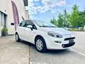 Fiat Punto PRIMO PREZZO IN ITALIA Bianco - thumbnail 6
