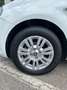 Fiat Punto PRIMO PREZZO IN ITALIA Bianco - thumbnail 9