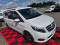 Mercedes-Benz V 250 d  *Marco Polo *HORIZON EDITION *NAVI *360° Blanc - thumbnail 11