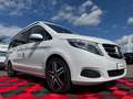 Mercedes-Benz V 250 d  *Marco Polo *HORIZON EDITION *NAVI *360° Blanc - thumbnail 10