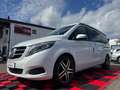 Mercedes-Benz V 250 d  *Marco Polo *HORIZON EDITION *NAVI *360° Blanc - thumbnail 2