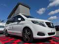 Mercedes-Benz V 250 d  *Marco Polo *HORIZON EDITION *NAVI *360° Blanc - thumbnail 9