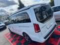 Mercedes-Benz V 250 d  *Marco Polo *HORIZON EDITION *NAVI *360° Blanc - thumbnail 24