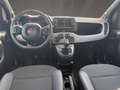 Fiat Panda S-Design Sport Apple CarPlay Alufelgen PDC Gris - thumbnail 8